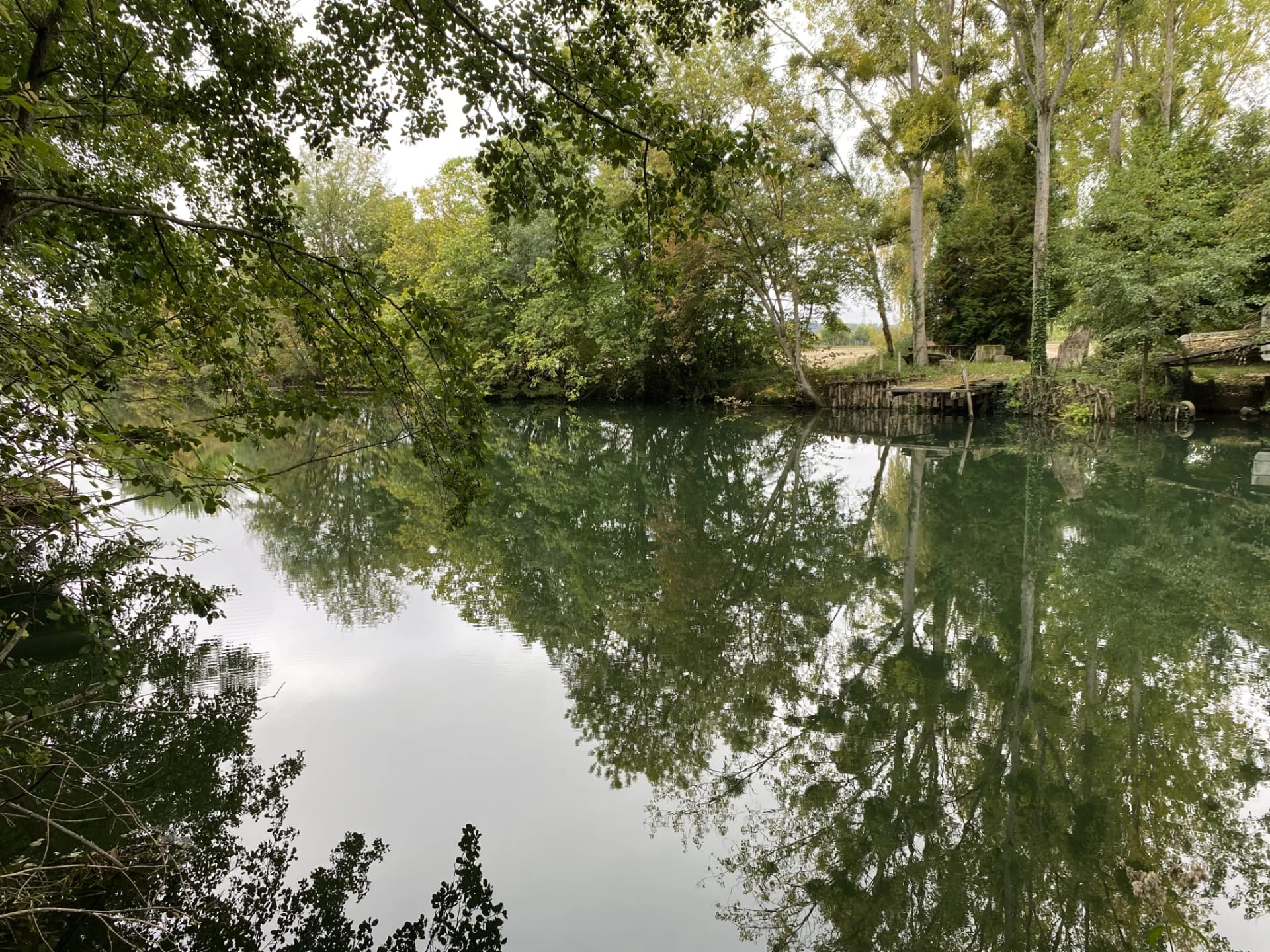 photo estate n°719752
