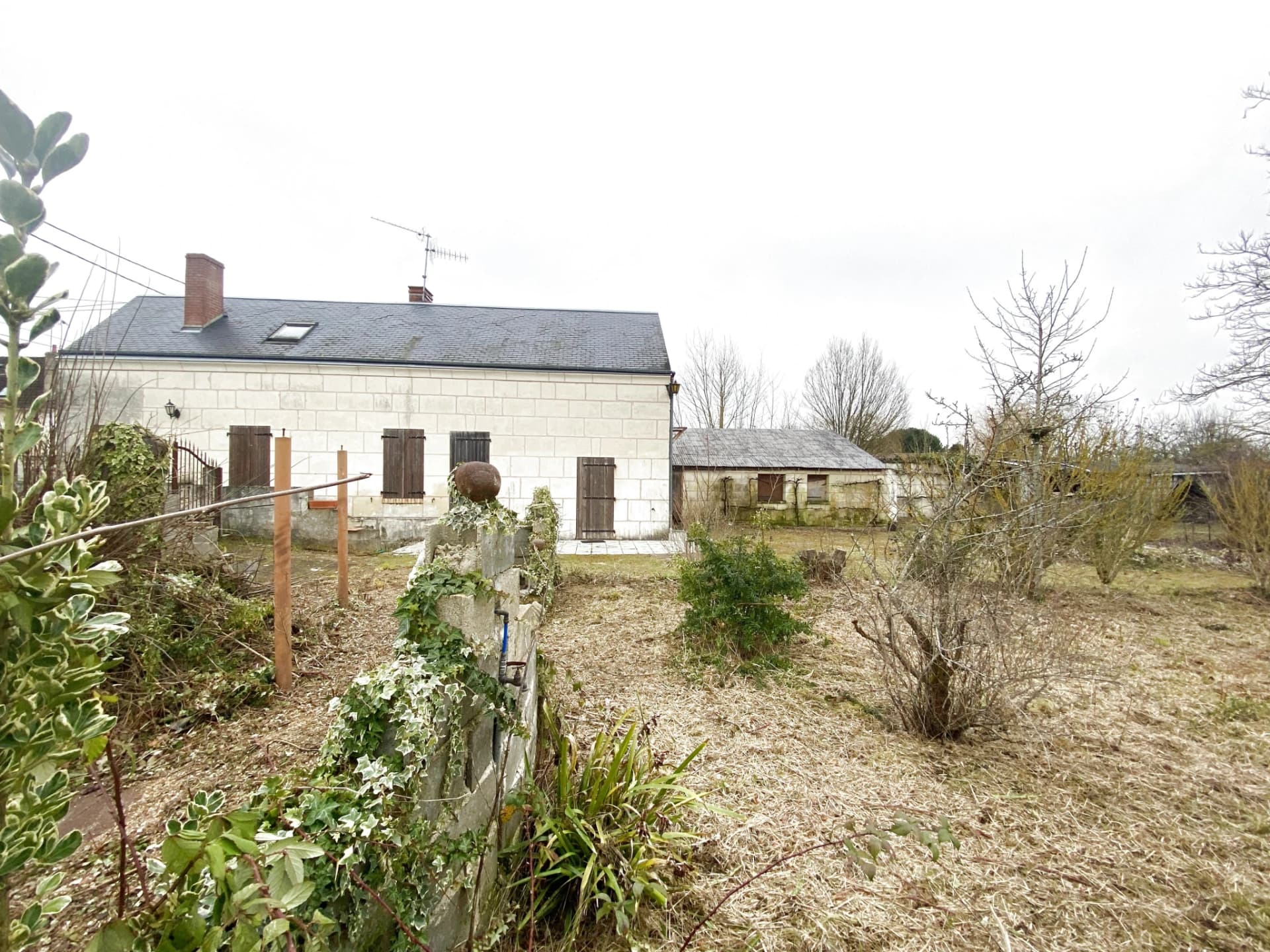 photo estate n°724083