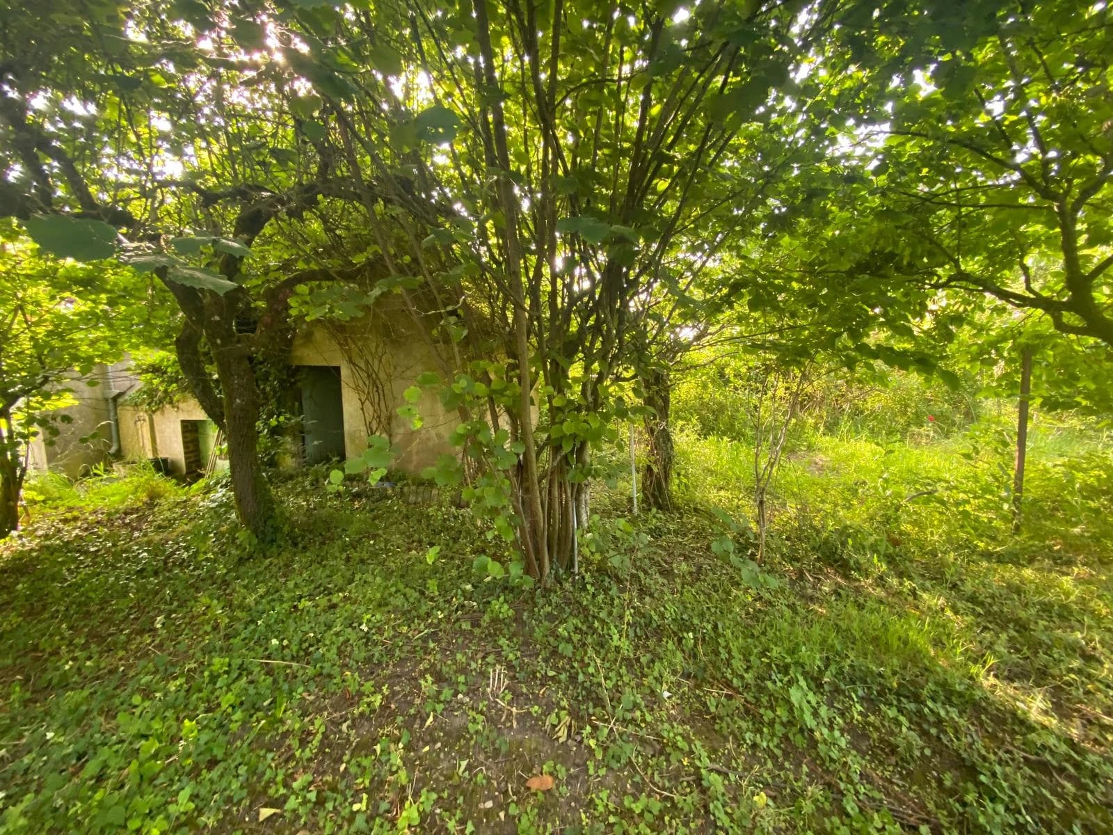 photo estate n°725244