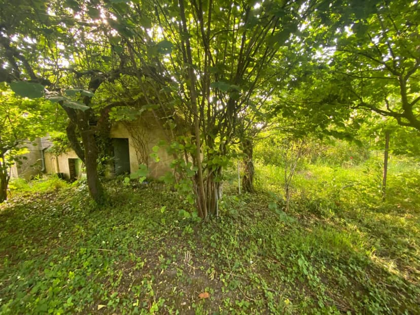 thumbnail of estate's photo