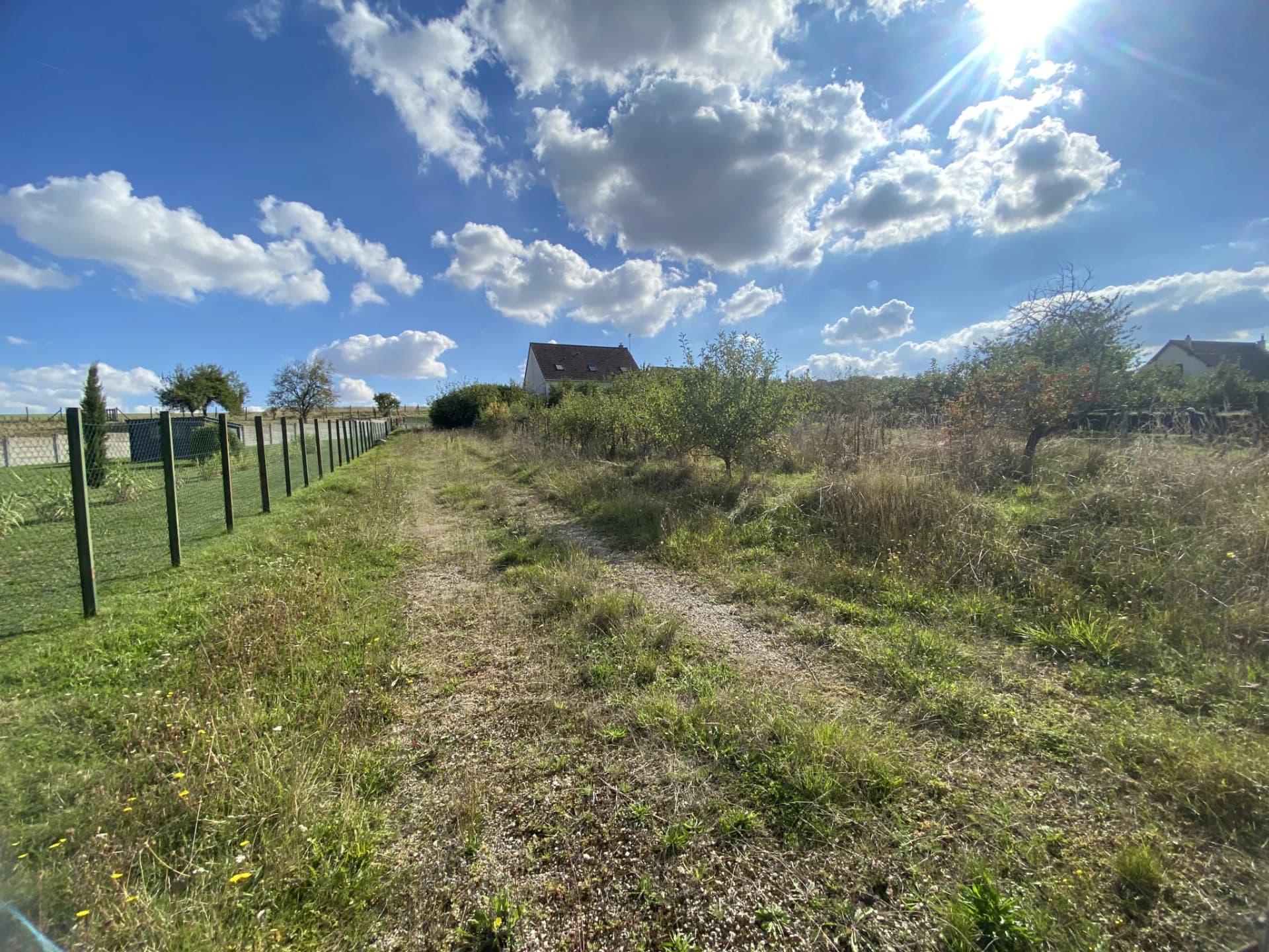 photo estate n°725490