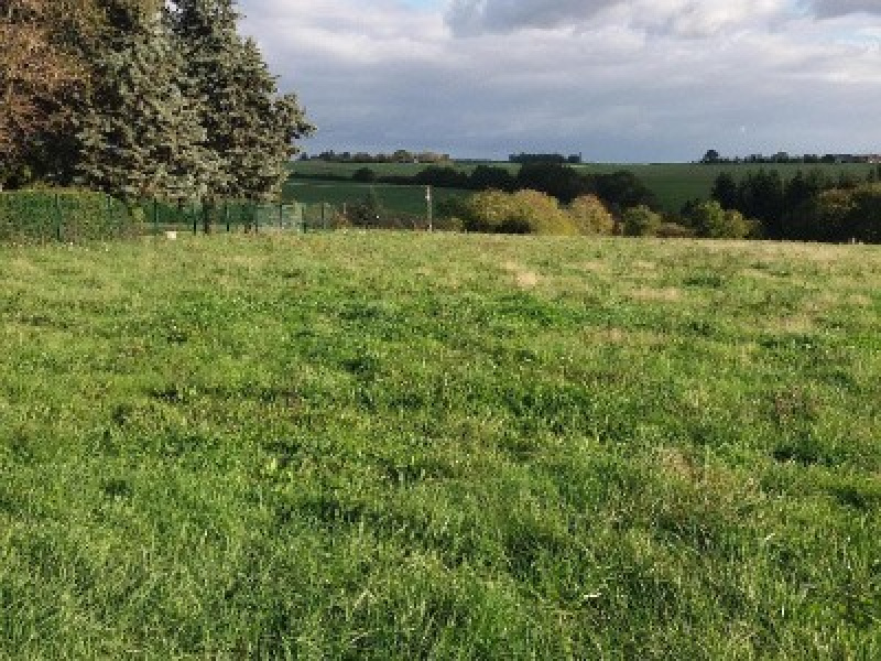 Vente terrain danze